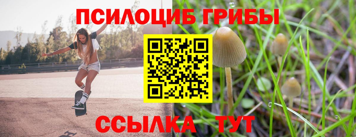 Галлюциногенные грибы прущие грибы Гурьевск